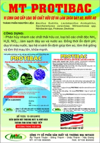 Chế phẩm sinh học loại bỏ chất hữu cơ, làm sạch đáy ao và nước ao